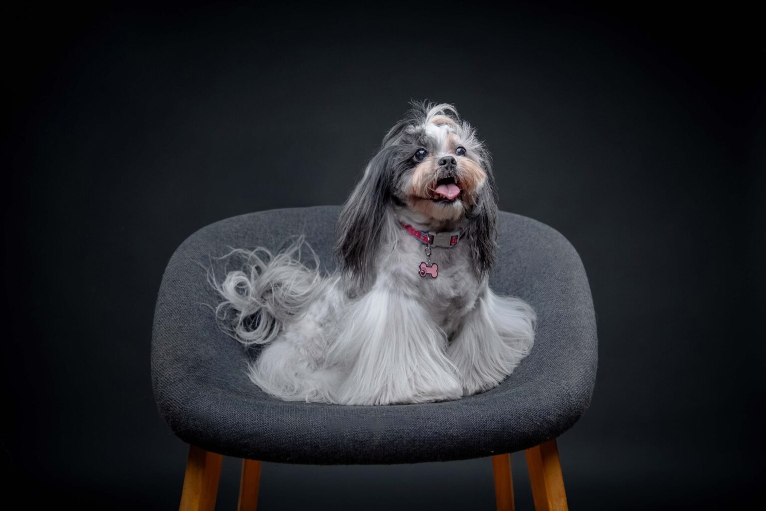 Drago,-Gala-y-Lexy-13-web