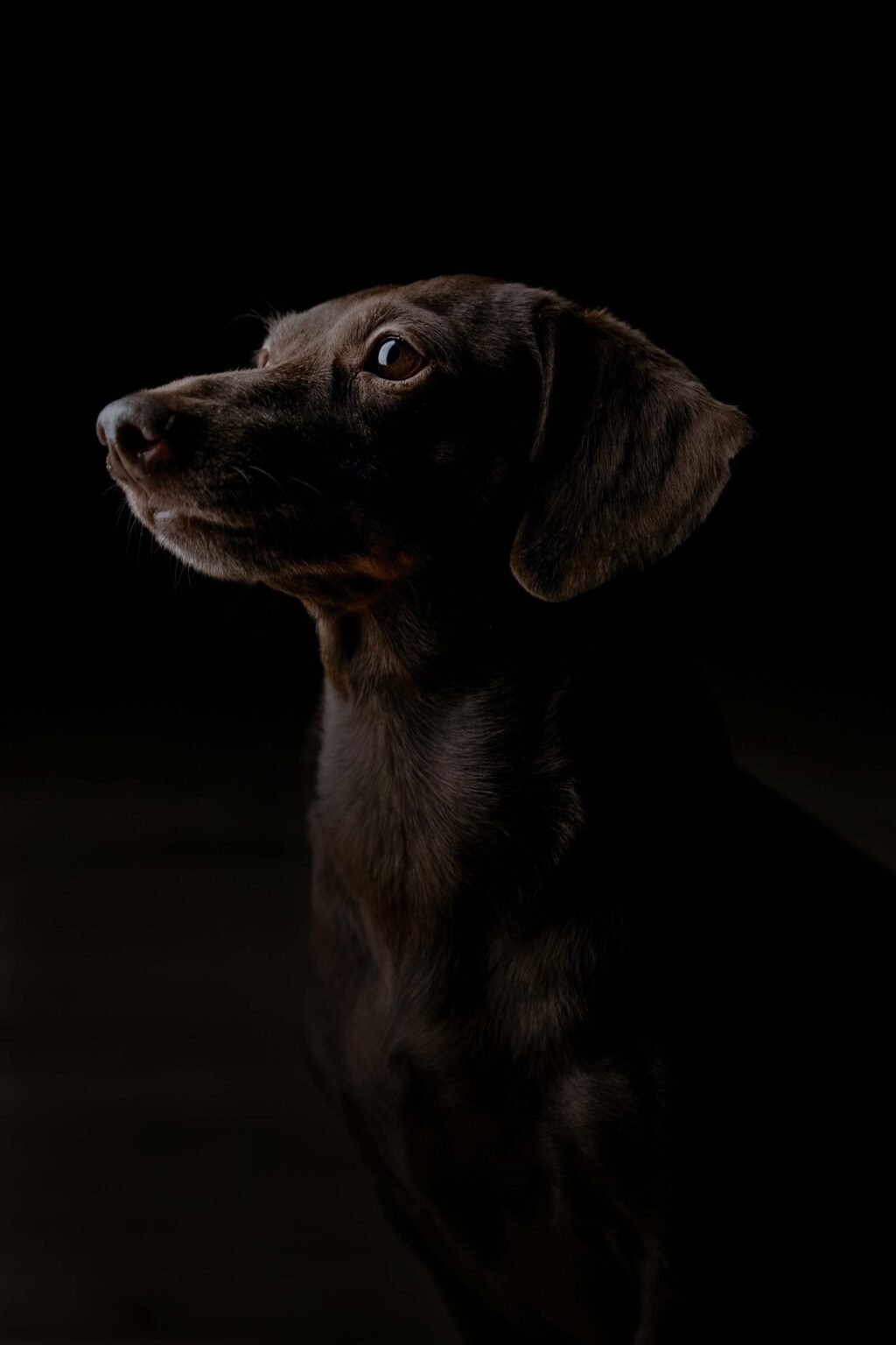 Frankie-y-Tofi-26-web