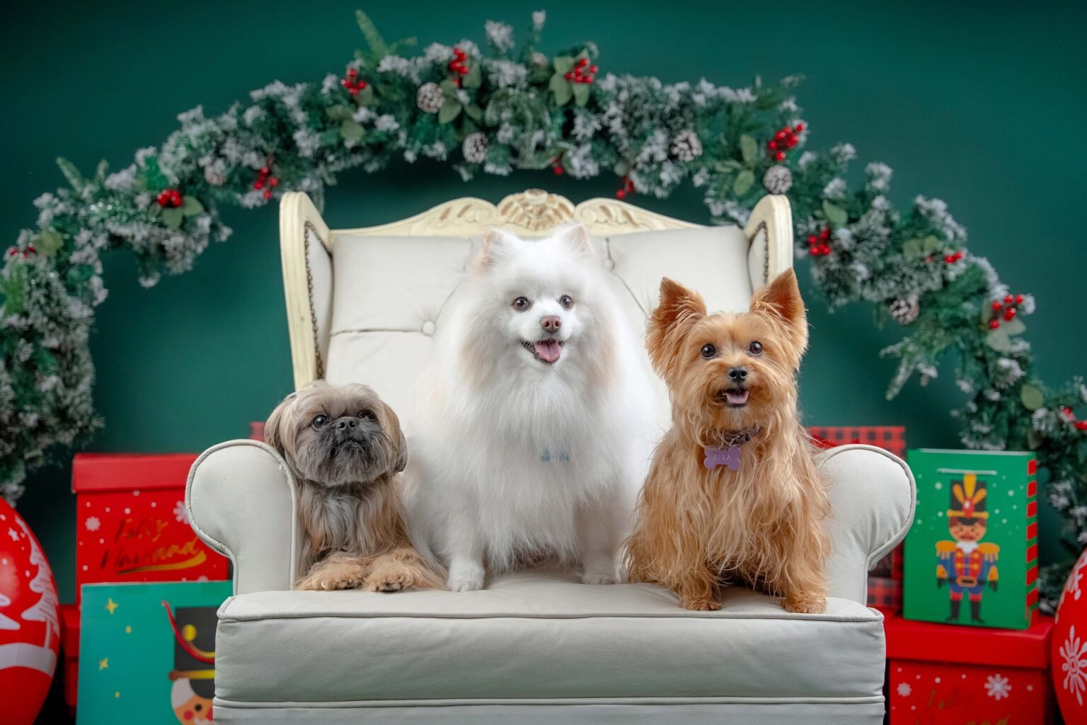 Goliat,-Kira-y-Theo-20-web