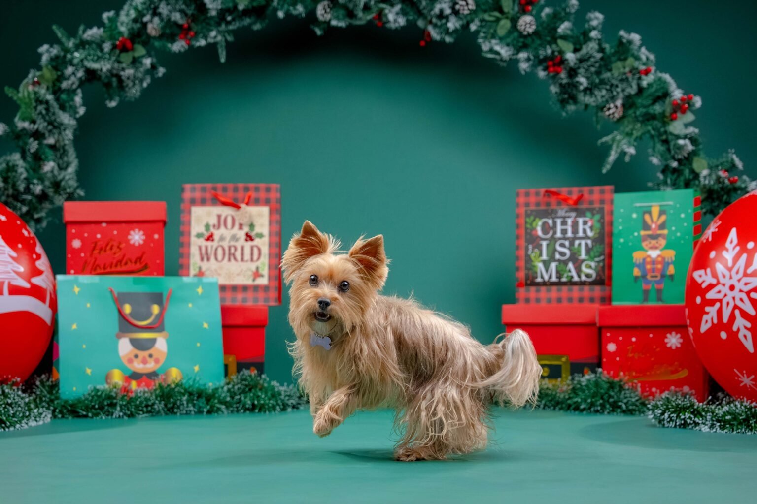 Goliat,-Kira-y-Theo-4-web