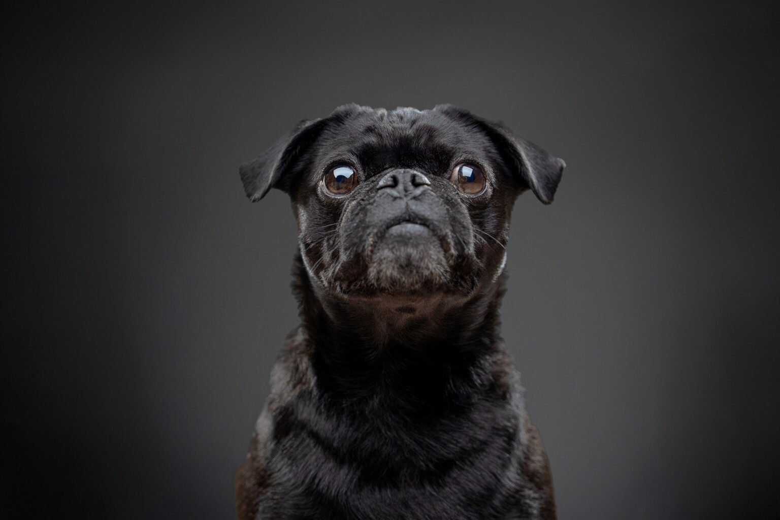 Macarena-y-Romina-34