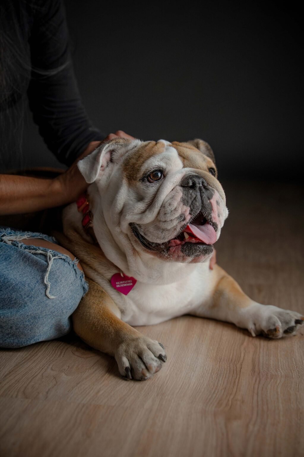 Mulan,-Baloo-y-Galleta-28-web