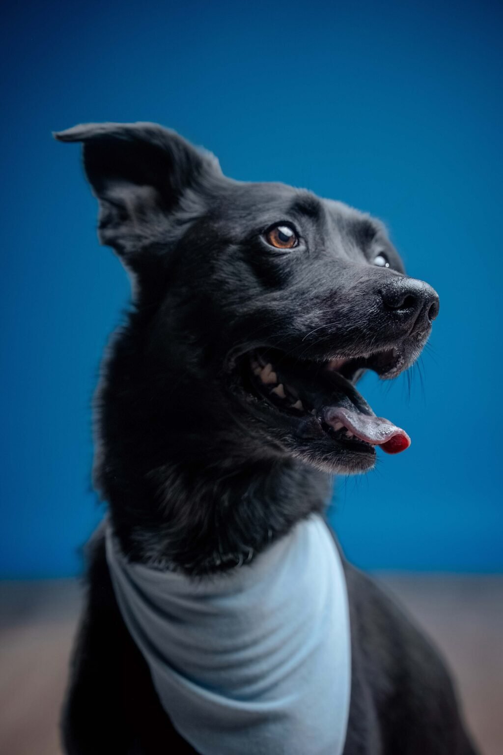 Nicki-y-Godínez-5-web