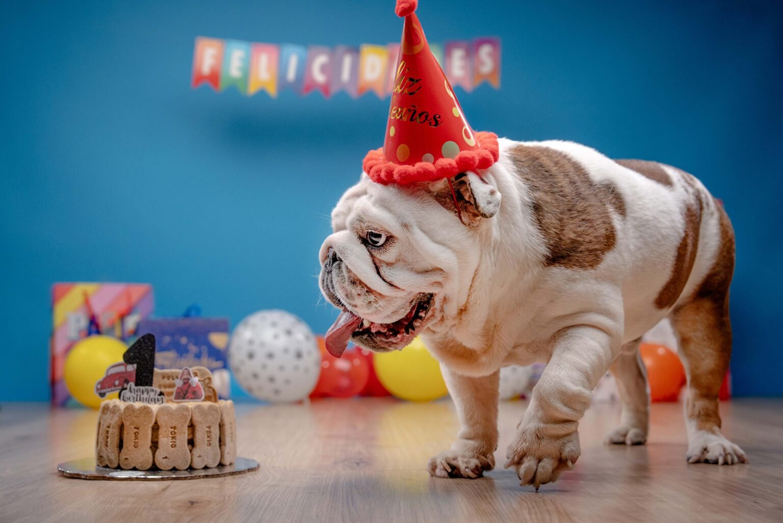 Tokio-Cumpleaños-2-web