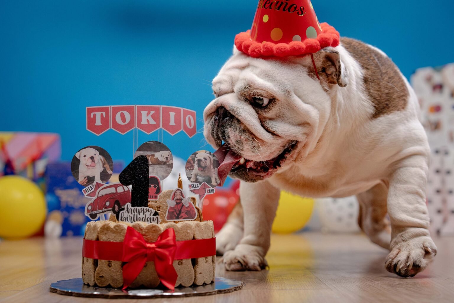 Tokio-Cumpleaños-5-web