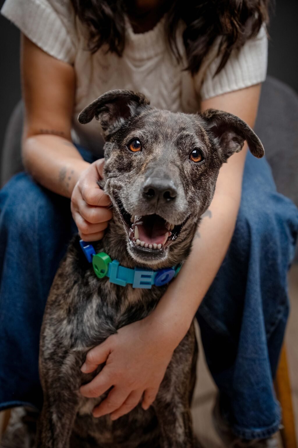 Vicente,-Leo,-Maya,-Cleo-y-Canela-22-web